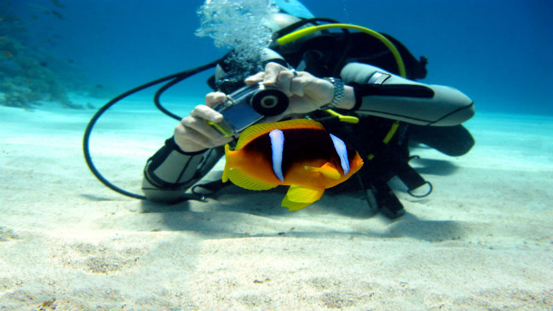 Check Out the Top 3 True and Amazing Benefits of Scuba Diving in Maui