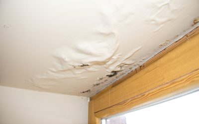 Expert Tips for Water Damage Removal in Little Rock AR: What You Need to Know