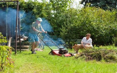 Achieve a Pet-Friendly Yard Using Sod Grass Riverside, CA for Instant Results