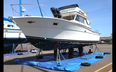 Find Reliable Comfort on the Water with Tritoon Boats For Sale Near Naples, FL