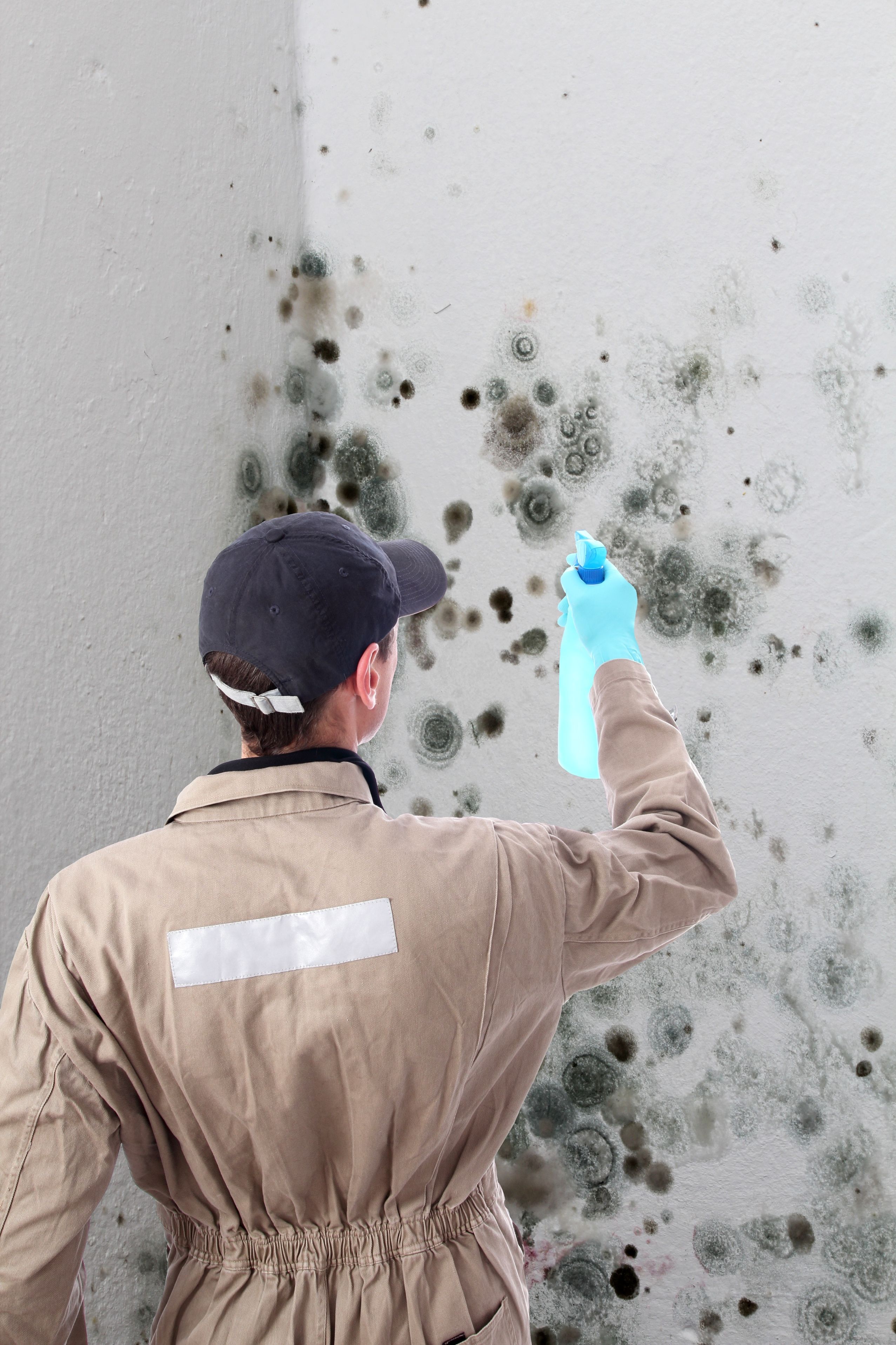 Maintaining the Indoor Air Quality of Your Home