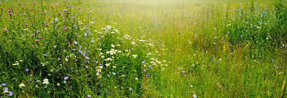 Practical Ways to Increase Your ROI in the United States as a Farmer