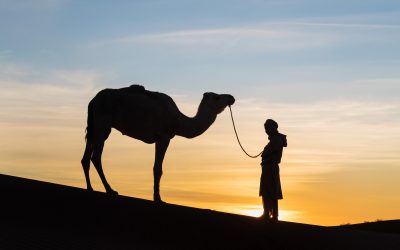Live the Sahara Experience: A 3-Days Desert Tour From Marrakech to Merzouga With Stunning Highlights