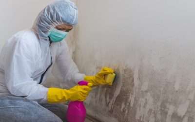 Prevent Costly Damage With Expert Pest Control Services Frisco TX Residents Recommend