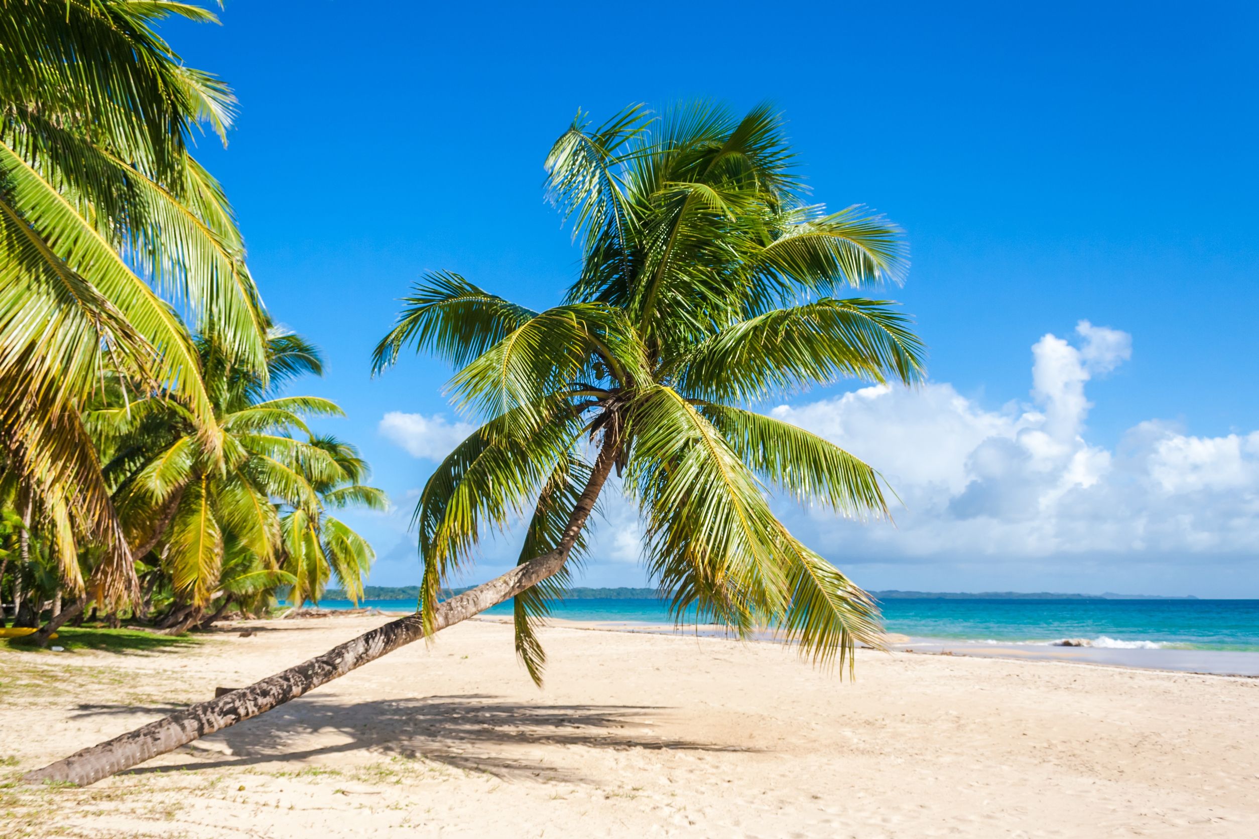Get The Most Out Of Your Trip With Orlando Vacation Packages All Inclusive