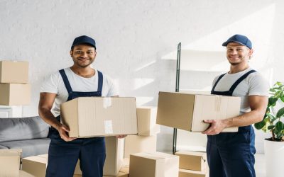 Removals Company Hove: A Practical Guide for Choosing the Right Service