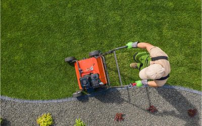 Achieve a Lush Lawn with the Help of Professional Landscapers Cape Cod MA