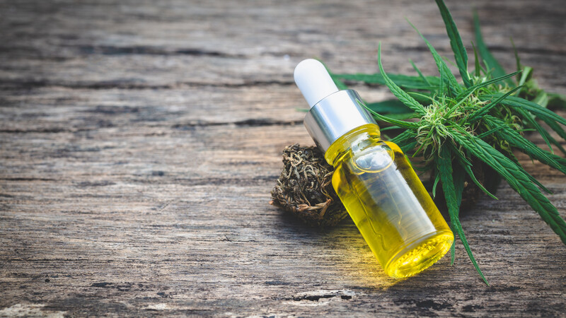 Your Trusted CBD Store in Port St. Lucie, for Premium, Lab-Tested Products You Can Rely On
