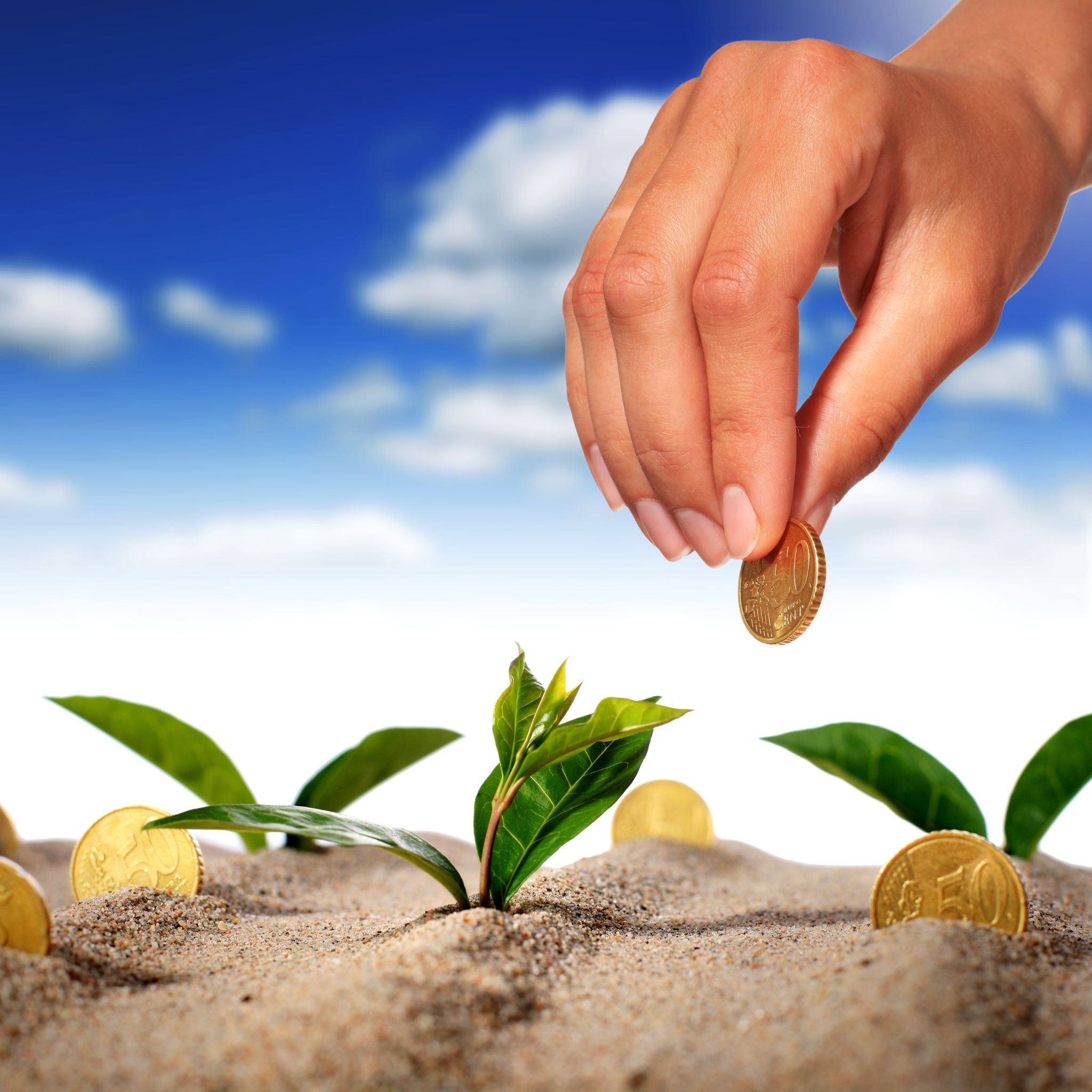 Stock Options Trading vs. Stock Investing_ Which One Is Right for You