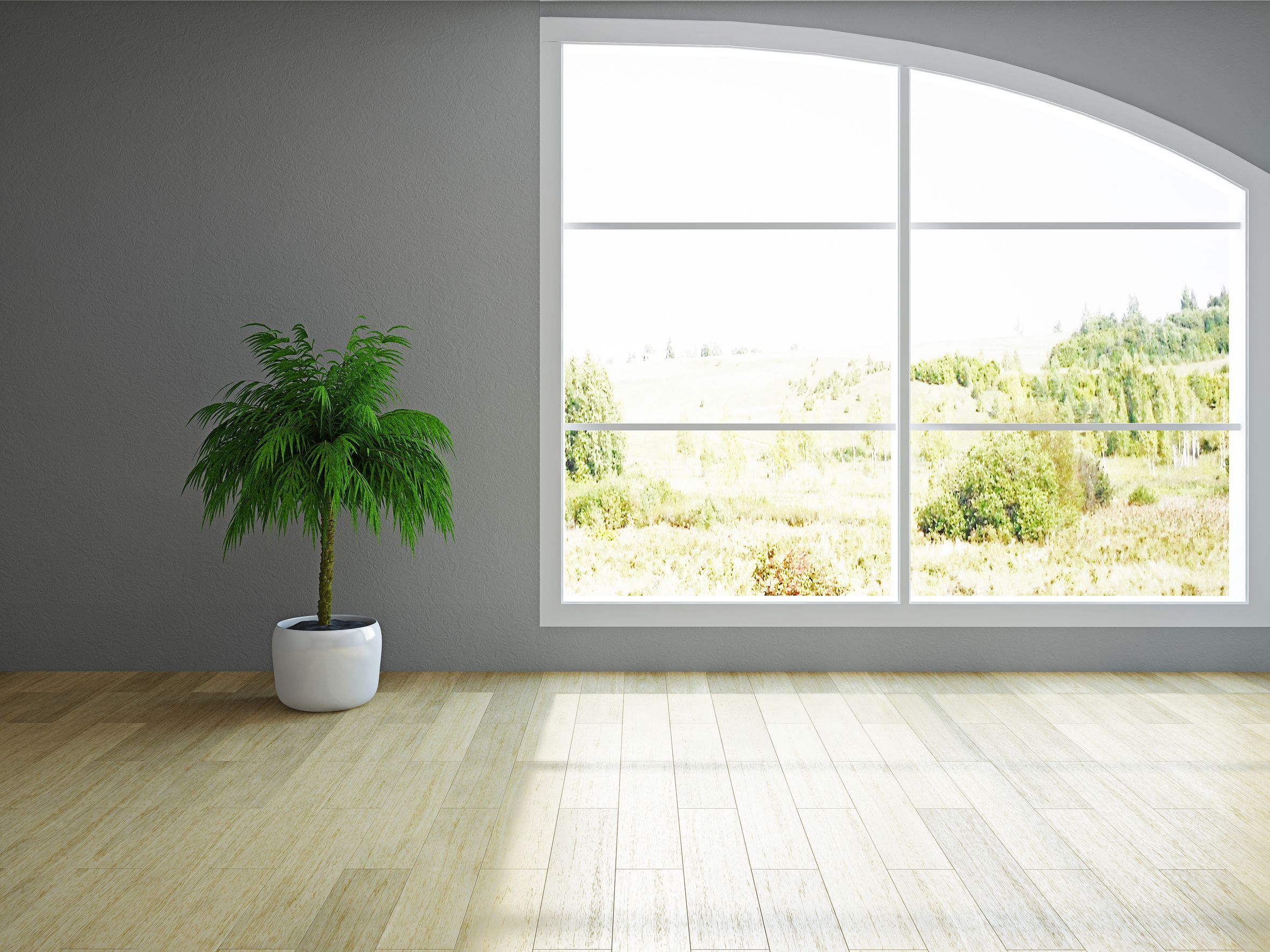 Replacement Windows Buyer’s Guide