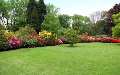 Choose a Residential Landscaping Company In Fresno CA For Lasting Home Value
