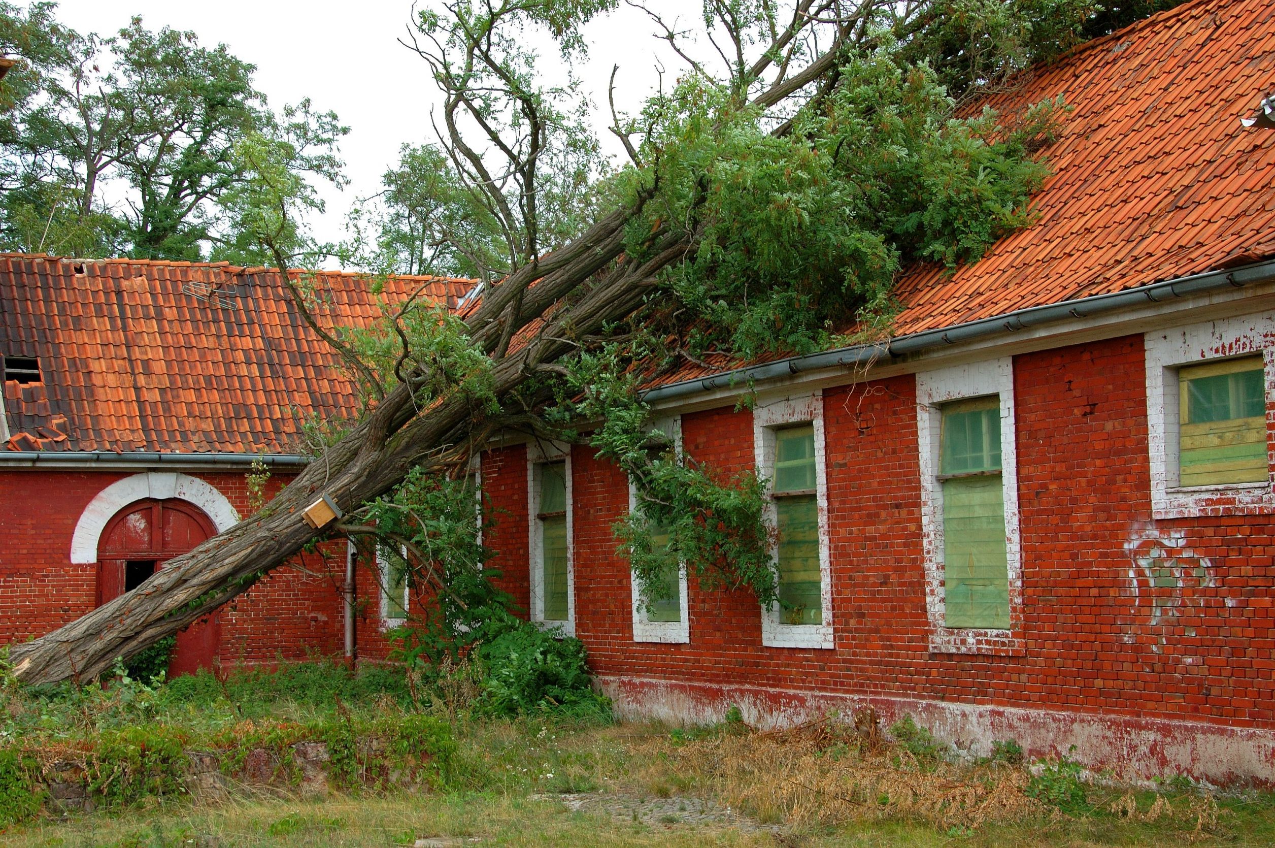 Advanced Technology, Tools and Equipment that Efficaciously Reverses Storm Damage in Wichita