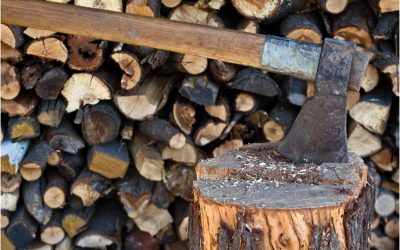 Enjoy Cozy Nights at Home with Firewood Delivery Near NJ and Reliable Local Service