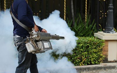 Say Goodbye to Unwanted Guests with Reliable Pest Control Services Land O Lakes FL