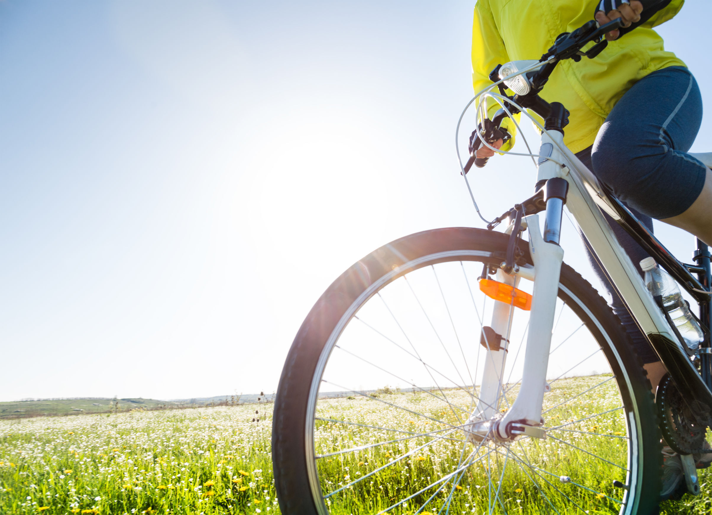 who makes the best road bikes