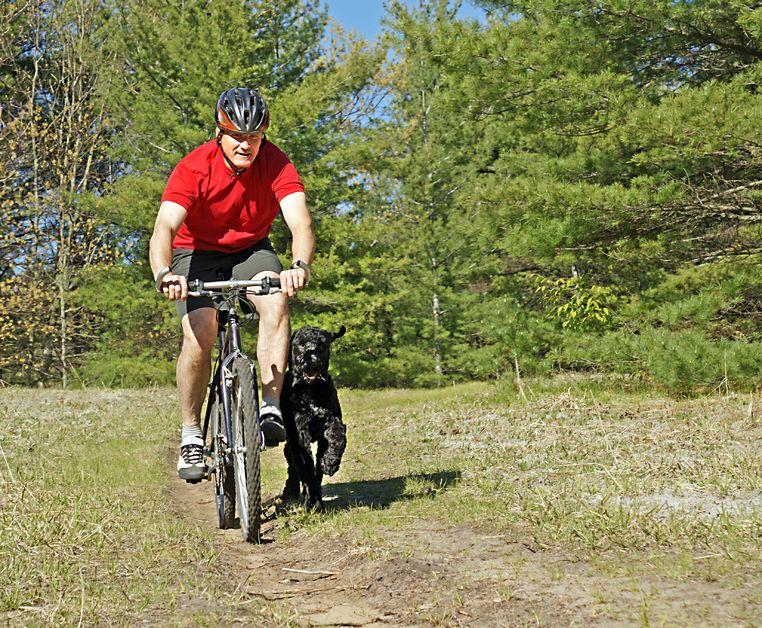 The Advantages of Utilizing Dog Boarding in Manhattan During Absences