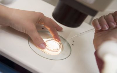 How to Choose a Clinic for Intrauterine Insemination in Newport Beach, CA