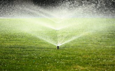 Prevent Costly Damage With Professional Irrigation System Repair In Colorado Springs