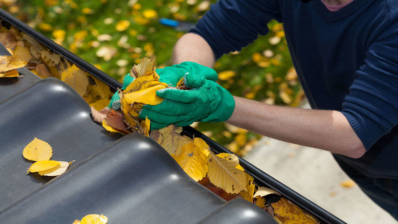 Protect your Yard with Pasadena Pest Control