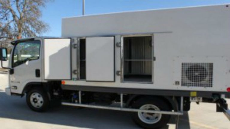 Leading International Truck Dealer in the Texas Region Offers Expert Advice