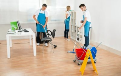 Refresh Your Living Space Effortlessly With House Cleaning Services In St Paul, MN