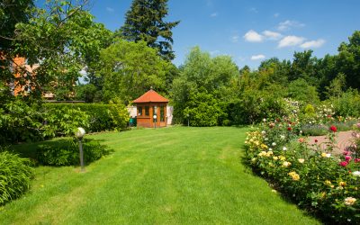 How Commercial Lawn Maintenance in Raleigh NC Keeps Your Business Property Pristine and Welcoming