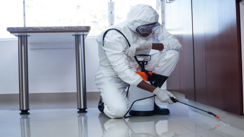 Exterminators: Solving Unwanted Pest Problems