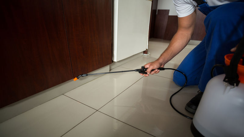 Are Exterminators in Fairfax VA the Same as Pest Management Companies?