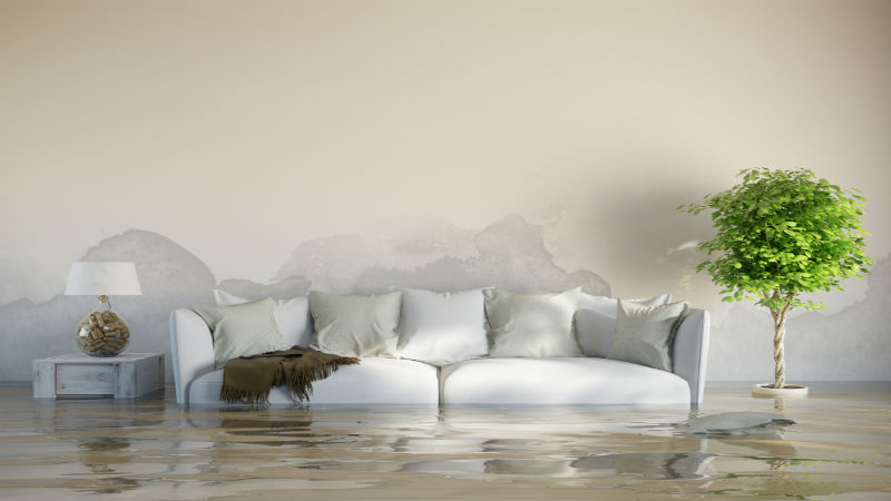 Always Use a Professional Restoration Company When Your House Is Flooded