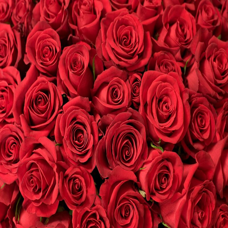There Is Nothing like a Surprise Flower Delivery in Houston, TX