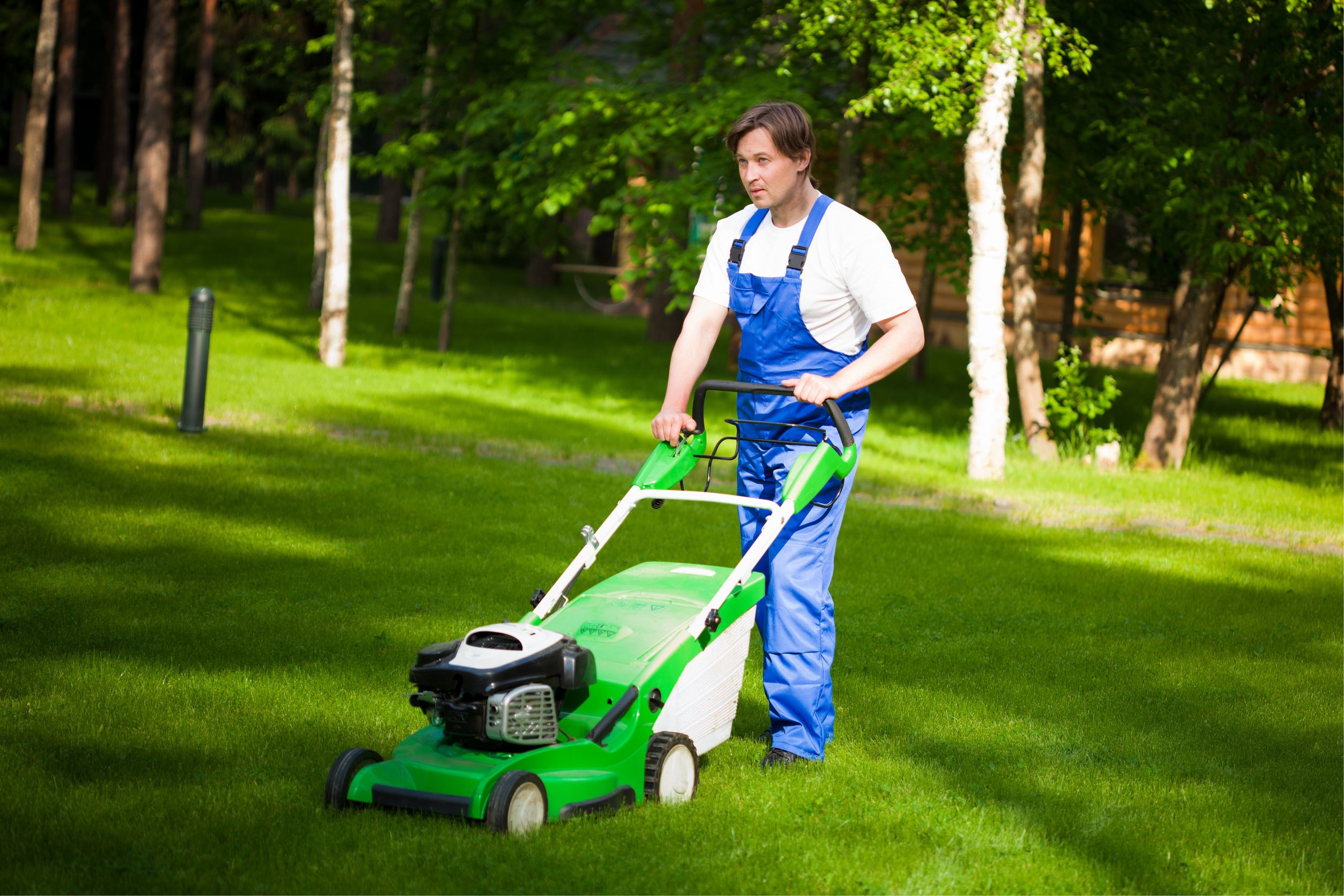 Why You Should Hire a Professional for Your Lawn Care Needs in Aurora, CO