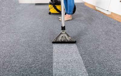 Revitalize Your Floors With Professional Carpet Cleaning Near Fitchburg, WI