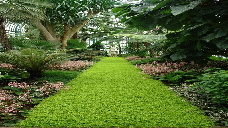 Considering Different Options for Garden Landscape Designs in Alpharetta, GA