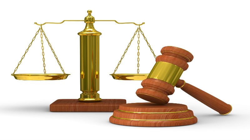 The Importance of Seeking Justice After a Dog Bite