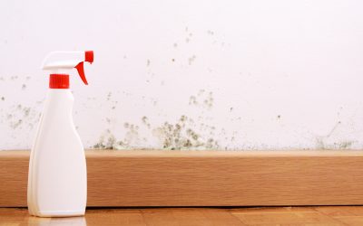Professional Solutions for Commercial Mold Removal Rancho Palos Verdes