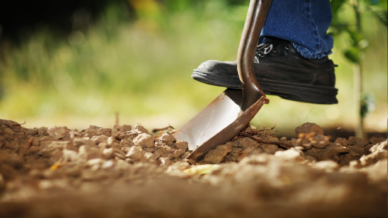 Why Seed Treatment Technology in Vacherie, LA, Is Very Important