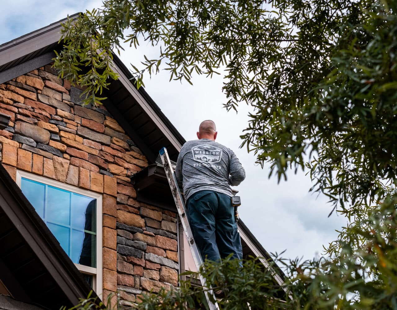 Let the Pros Handle Bat Removal From an Attic in Fayetteville, GA