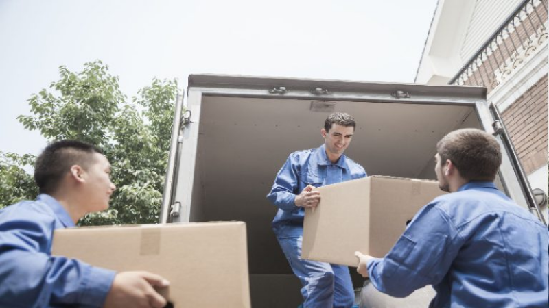 Everything You Need to Know About Office Moving Services in Denver, CO