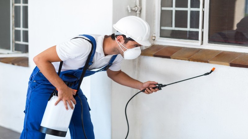 Reasons to Get Residential Pest Control in Newnan GA