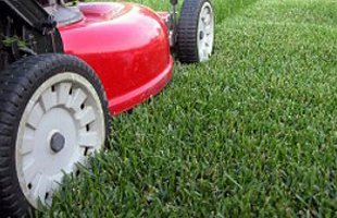 What Is Involved In Landscape Maintenance In Spokane?