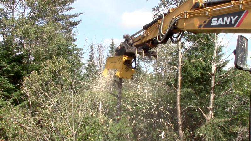 The Benefits of Having an Excavator Mulcher