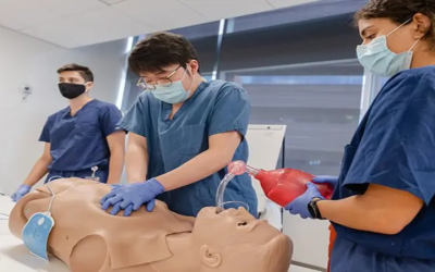 Basic Life Support (BLS) vs. CPR Certification: What’s the Difference?