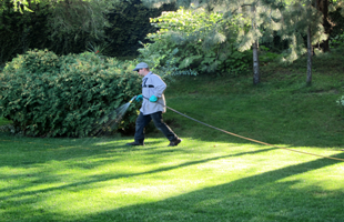 Residential Pest Control in Spokane